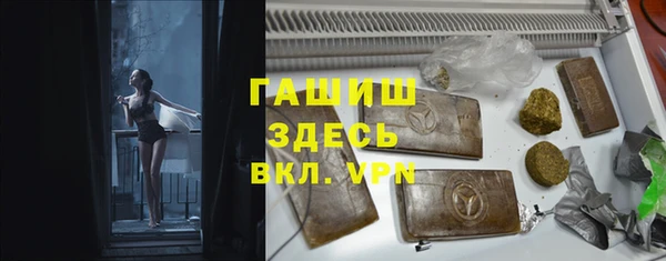 шишки Алексин