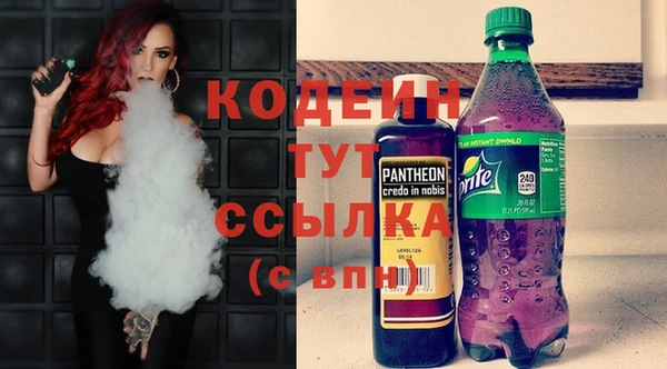 шишки Алексин