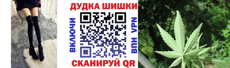 Бошки Шишки план Томмот